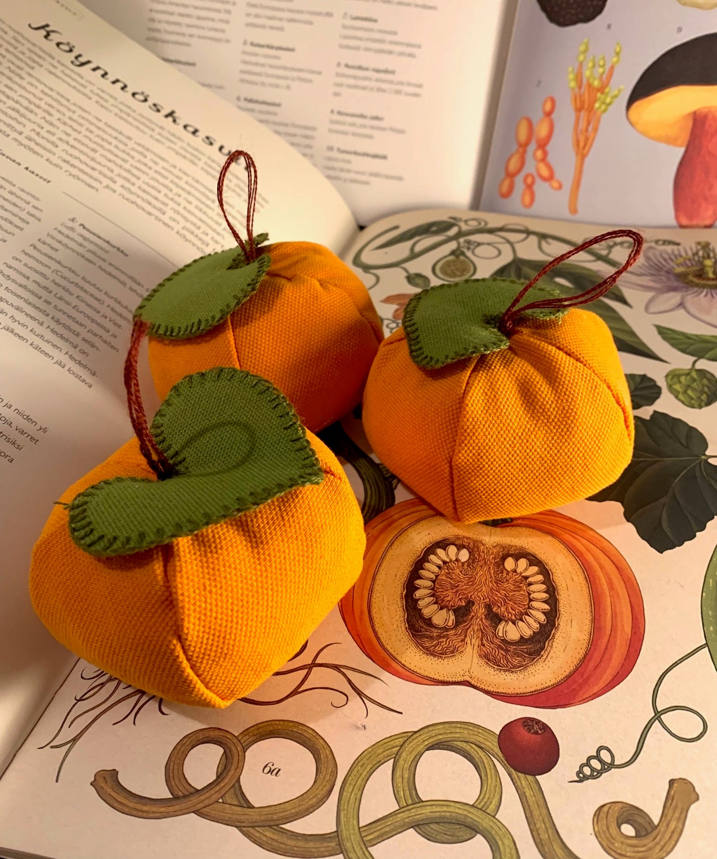 Kurpitsakoriste